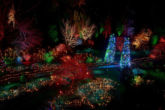 1 hour City Tour & Butchart Gardens: Christmas - Entry included! - Quick hits before you go