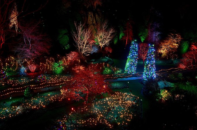 1 hour City Tour & Butchart Gardens: Christmas - Entry included! - Timing, Weather, and the Rules That Affect Comfort