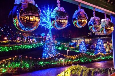 1 hour City Tour & Butchart Gardens: Christmas - Entry included! - The Butchart Gardens Visit: Lights, Carols, and How to Enjoy It