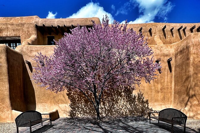 2-Hour Photography Class While Touring Downtown Santa Fe, Smart Phones Welcome! - Adobe architecture and desert light: how to get color without fighting it
