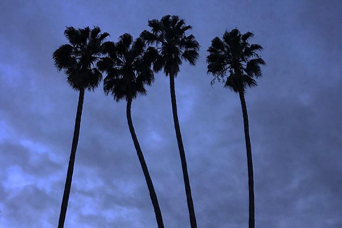 3.5 Hour Coastal Tour of Santa Monica, Venice Beach and Malibu - Malibu Country Mart, Venice Skatepark, and the Palisades Bluffs