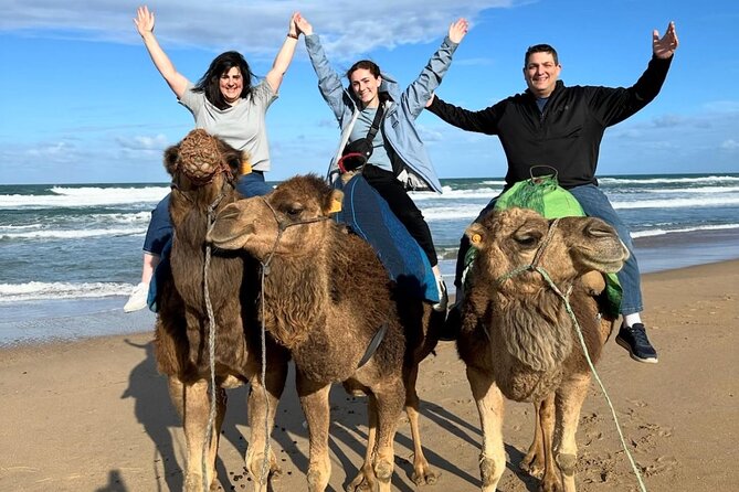 3 Days 2 Nights Christmas Getaway in Tangier & Chefchaouen - Day 2, Christmas Day in Chefchaouen: blue streets, guided walking, and holiday nightlife