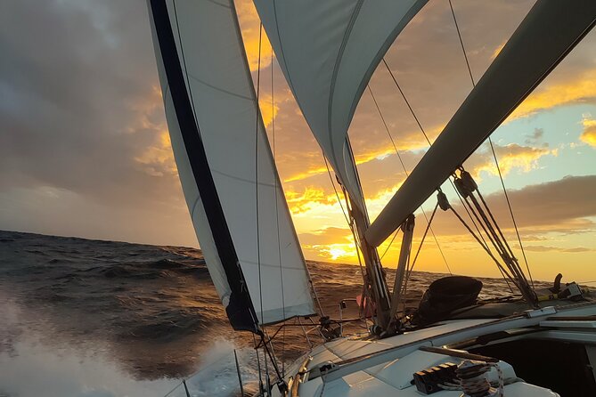 3 Hours Yacht Sailing Activity in Cabo Verde, Santa Maria - What You’ll See: Jesus Underwater Monument and Dolphin-Style Odds