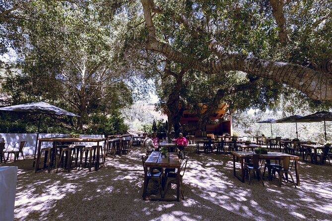 3-Winery Santa Ynez Tour with Picnic Lunch & Tasting Fees - Stop 2: A Second Santa Ynez Favorite With Included Tastings