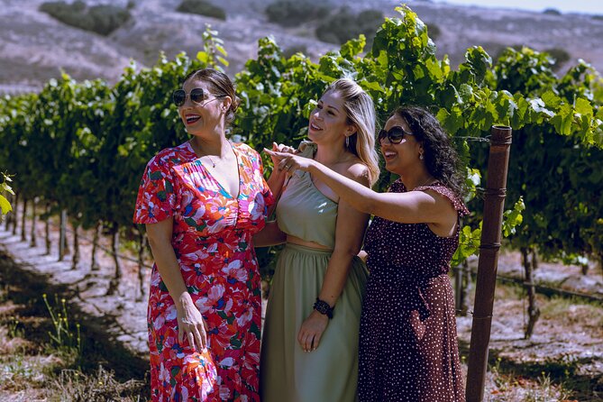 3-Winery Santa Ynez Tour with Picnic Lunch & Tasting Fees - The 5-Hour Rhythm: Comfortable Riding With a Real Host