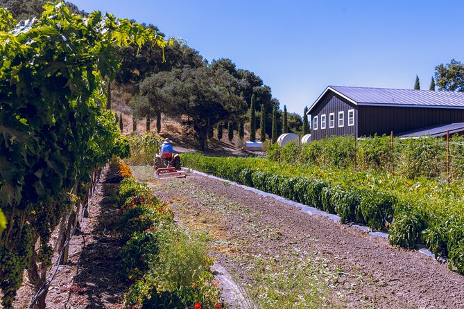 3-Winery Santa Ynez Tour with Picnic Lunch & Tastings from City - Key highlights worth caring about