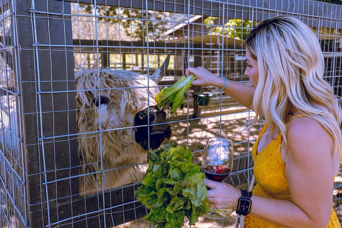 3-Winery Santa Ynez Tour with Picnic Lunch & Tastings from City - Wine Tasting Reality Check: Tastings, Fees, and How Deep Each Stop Goes