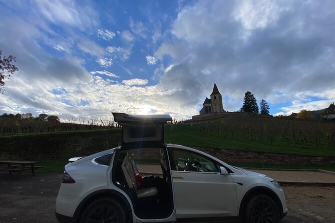 Alsace Christmas Markets & Fairy Tale Villages Private Tour from Strasbourg - The private driver experience: comfort, timing, and flexibility