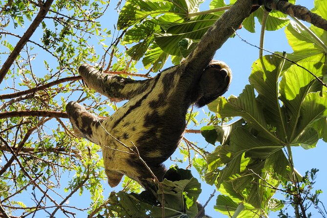 Amboro National Park Overnight Tour from Santa Cruz - Fitness level and altitude reality check