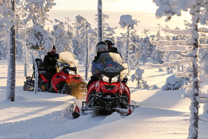 Arctic Delight - Visit to Santa's Village and snowmobiling to reindeer farm - Who Should Book Arctic Delight (and Who Should Skip It)