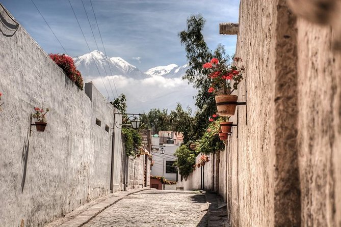 Arequipa, Historic and Colonial City and Santa Catalina Monastery - Iglesia de la Compañía (Jesuits): cloisters and San Ignacio Dome details