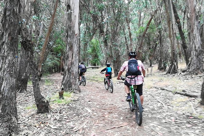 Beginner or Intermediate Mountain Bike Tour of Santa Barbara - What’s Not Included (So You Don’t Get Surprised)