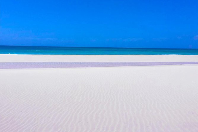 Boa Vista Tour: Santa Mónica, Desert & Shipwreck - Does the $91.89 Price Make Sense for This 6-Hour Loop?