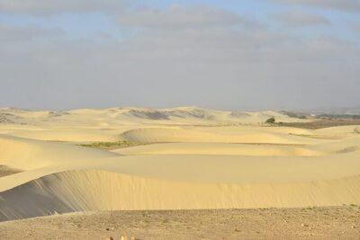 Boa Vista Tour: Santa Mónica, Desert & Shipwreck - Start at 9:00 From Sal Rei, Then Jump Straight Into Dunes