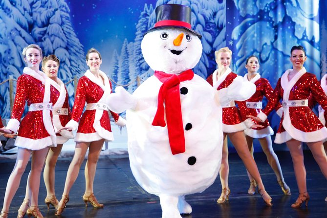 Branson's Christmas Wonderland - Who this show fits best (families, music lovers, and holiday travelers)