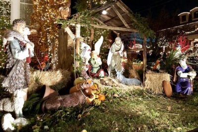 Brooklyn Dyker Heights Christmas Wonderland Bus Tour - The Hudson-to-Lower-Manhattan ride: waterfront stops with major storytelling