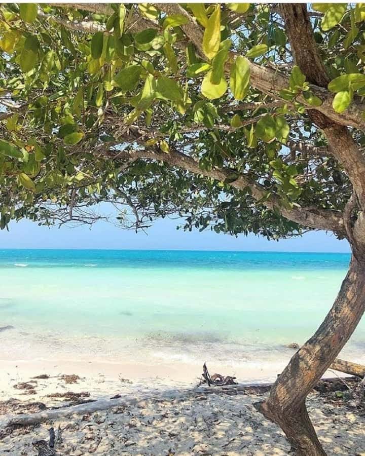 cartagena: Mucura and Santa Cruz Islands Tour spectacular - Breakfast and lunch: what you’re eating on a fast, sunny schedule