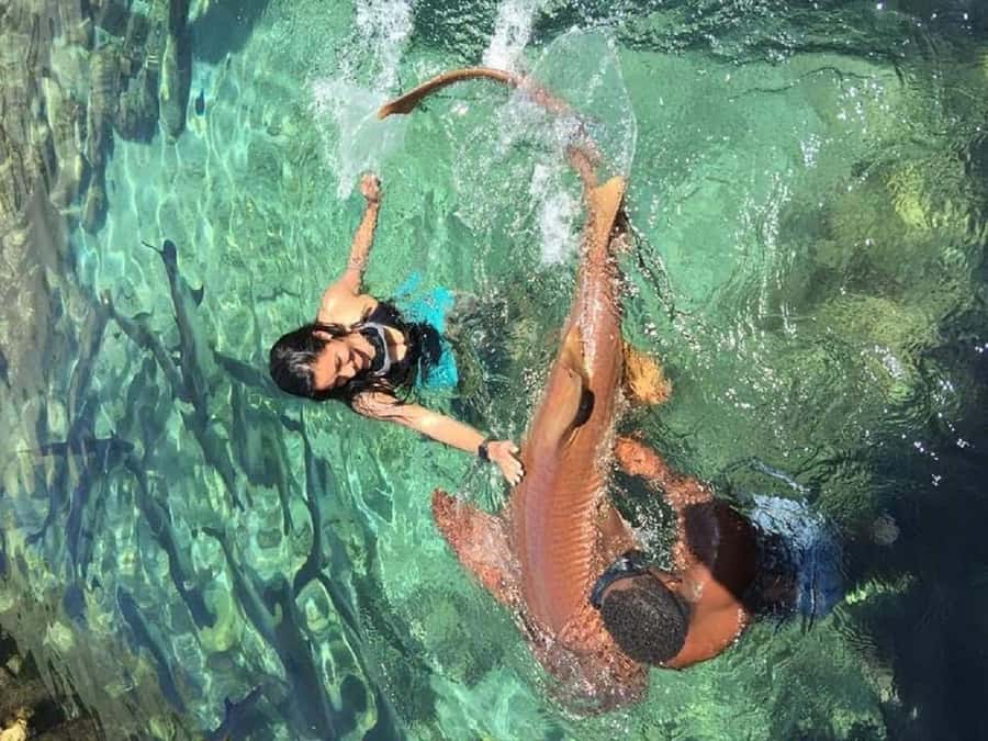 cartagena: Mucura and Santa Cruz Islands Tour spectacular - Timing, crowds, and sea conditions: the stuff that changes your day