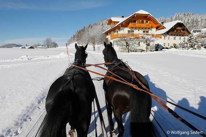 Christmas Horse-Drawn Sleigh/Carriage Ride from Salzburg - The 9:00 am Coach Ride: Comfort, Views, and a Smooth Start