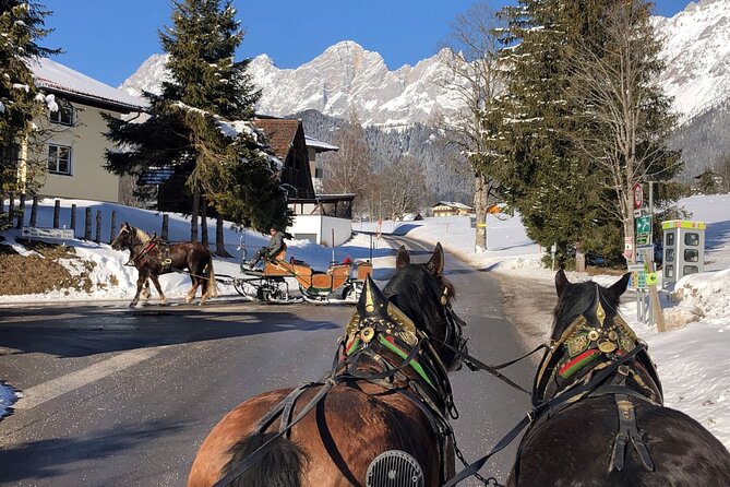 Christmas Horse-Drawn Sleigh/Carriage Ride from Salzburg - The Horse-Drawn Sleigh Ride: Blankets, Jingle Bells, and Real Winter Speed