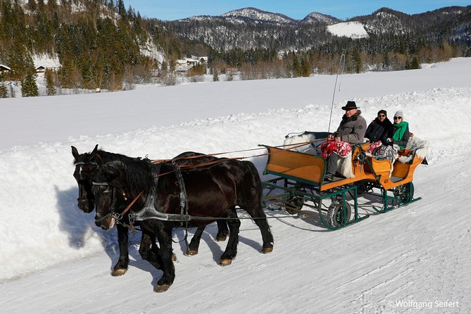 Christmas Horse-Drawn Sleigh/Carriage Ride from Salzburg - What to Wear and Bring for a Chilly, Authentic Ride