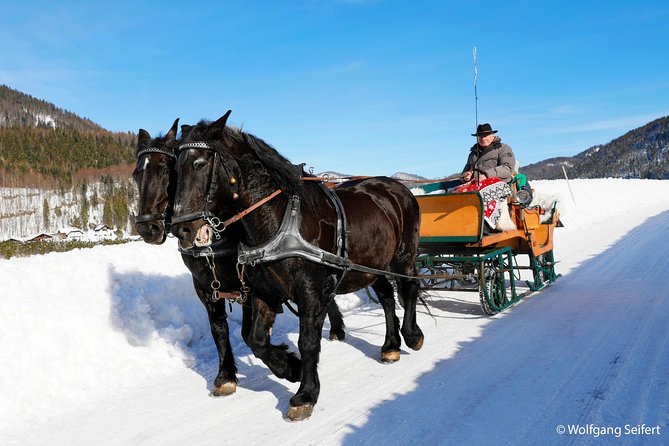 Christmas Horse-Drawn Sleigh/Carriage Ride from Salzburg - Who This Trip Fits Best, and Who Might Want Something Else