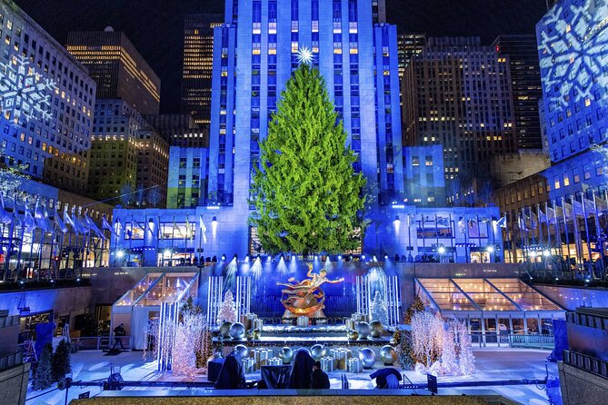 Christmas Light Private Carriage Ride New York City - Key things to know before you go