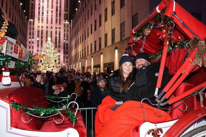 Christmas Light Private Carriage Ride New York City - Where you meet on Central Park South