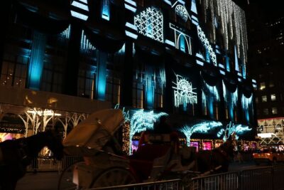 Christmas Light Private Carriage Ride New York City - Price and what $420 per carriage really buys