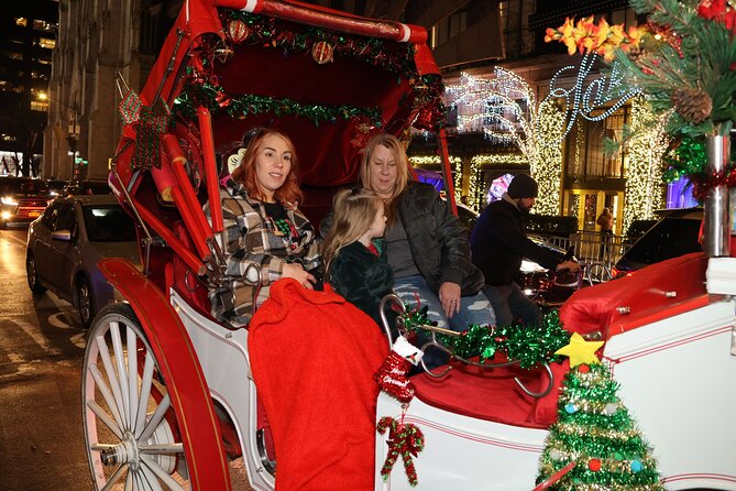 Christmas Light Private Carriage Ride New York City - Gar Pond in winter: a skyline-side pause