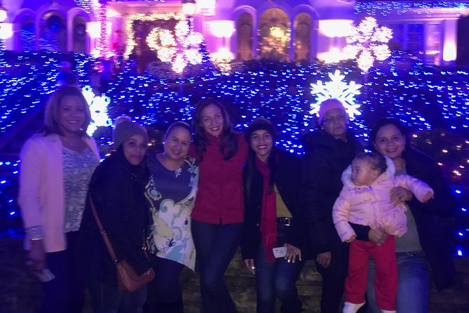 Christmas Lights Tour - Dyker Heights: Where the Tour Really Delivers