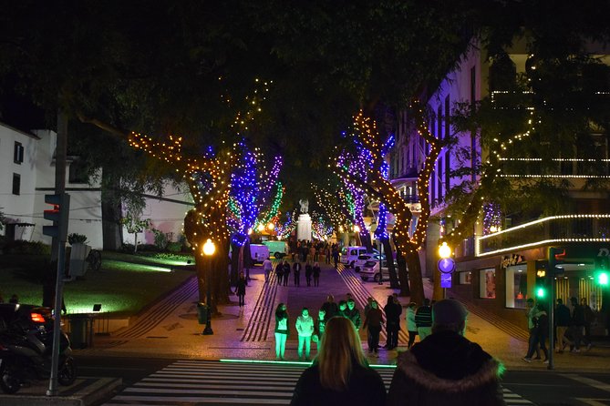 Christmas Lights Tukxi Tour (price per tukxi - up to 5 people) - Price and what $93.09 really buys you