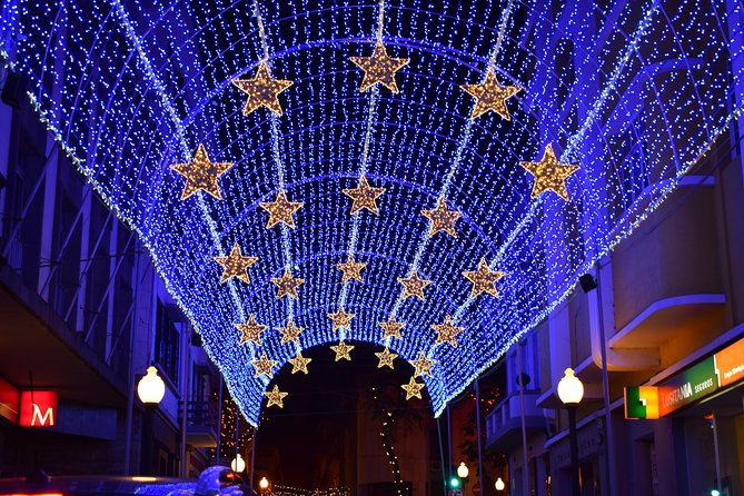 Christmas Lights Tukxi Tour (price per tukxi - up to 5 people) - Pickup, timing, and a tour that stays under control