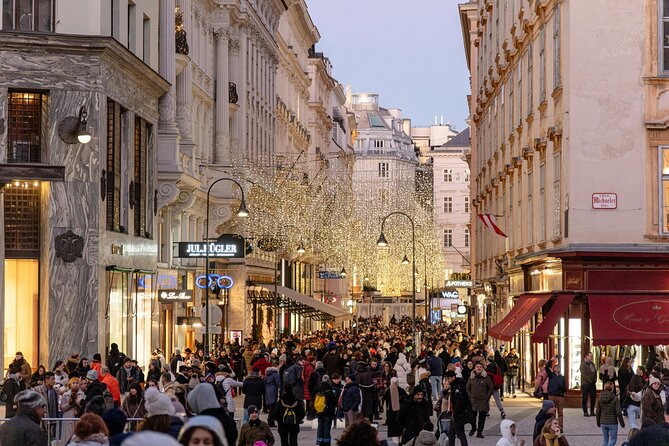 Christmas Walk Vienna : 5 Markets & Old Town in 3h (EN/DE) - MuseumsQuartier Wien market: unusual bites with a hip vibe