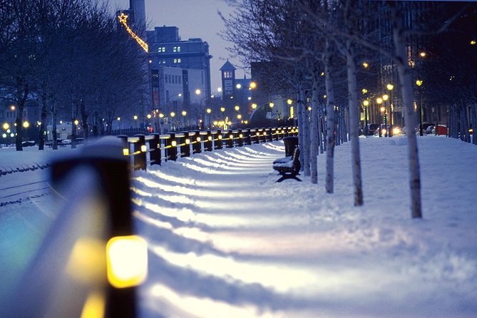 Christmas Walking Tour in Old Montreal - What the 1.5 hours actually feels like: pacing, weather, and the cold reality