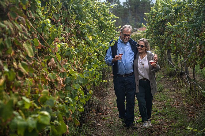 Classic Tasting | Quinta de Santa Cristina Vinho Verde - The tasting room: three wines, regional pairings, and a view that earns attention