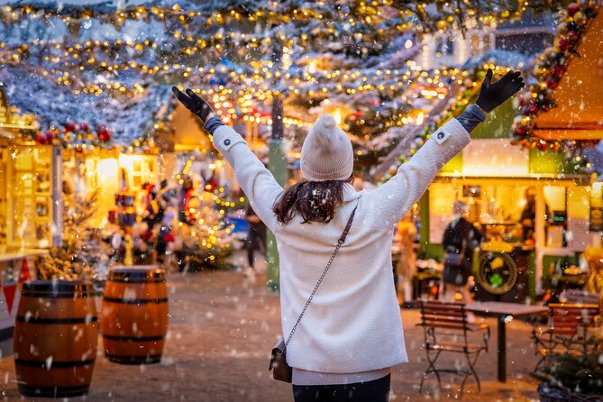 Copenhagen Private Christmas Walking Tour with Gløgg - Stork Fountain: Christmas performances and gløgg nearby