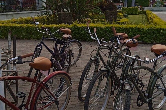Cycle to the millenary tree "El Tule" - Why the bike beats a bus ride to El Tule