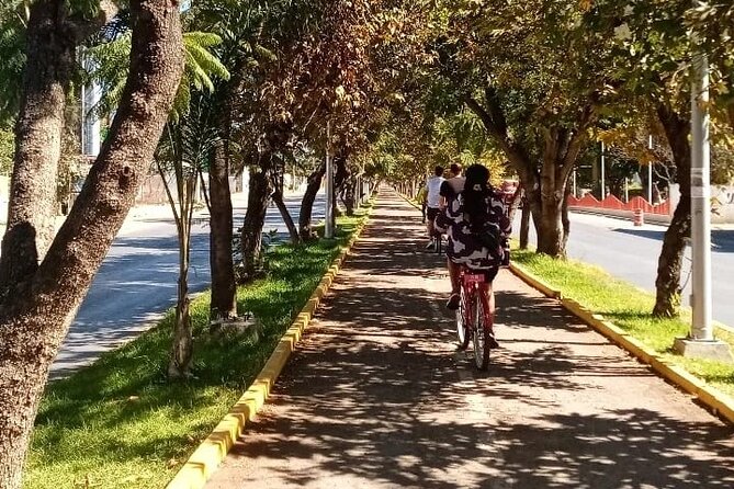 Cycle to the millenary tree "El Tule" - Stop 2: Santa Maria del Tule markets for crafts and local flavors