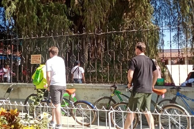 Cycle to the millenary tree "El Tule" - Timing and duration: how to fit 3 hours into your Oaxaca day