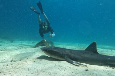 Day Tour to Santa Fe Island and Hidden Beach with snorkeling and fishing - The day’s timing: 8:00 am start, about 7 hours on the water and shore