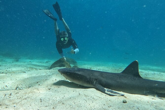 Day Tour to Santa Fe Island and Hidden Beach with snorkeling and fishing - The day’s timing: 8:00 am start, about 7 hours on the water and shore