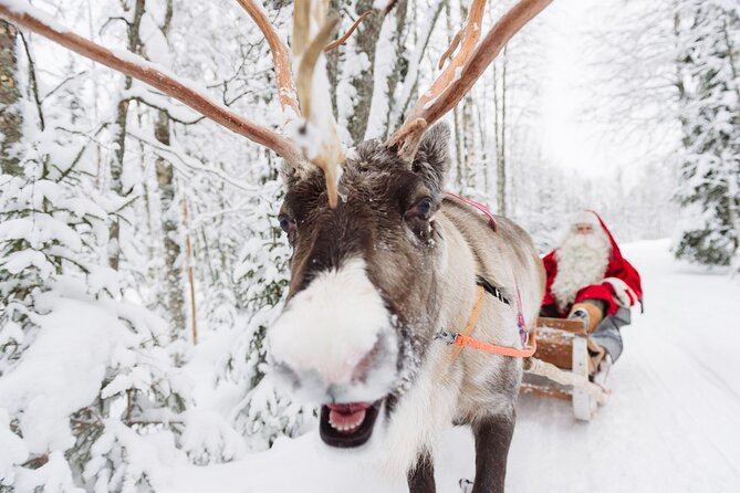 Daytour to Santa Claus Village, Reindeer and Husky Safaris, Photo, and Lunch - Santa Claus Village, reindeer, huskies: the value of a 4–5 hour plan