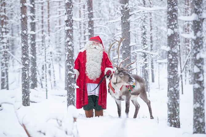 Daytour to Santa Claus Village, Reindeer and Husky Safaris, Photo, and Lunch - Reindeer and husky safaris: what the rides do well (and what to expect)