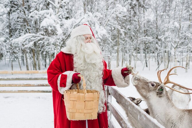 Daytour to Santa Claus Village, Reindeer and Husky Safaris, Photo, and Lunch - Who this tour suits best (and who might want a different style)