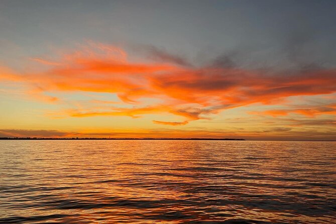 Dolphin cruise in Santa Rosa Beach - Price and value: when $450 per group makes sense