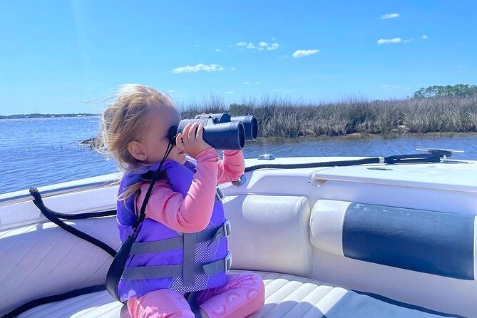 Dolphin cruise in Santa Rosa Beach - Weather matters: a cruise you plan around nature