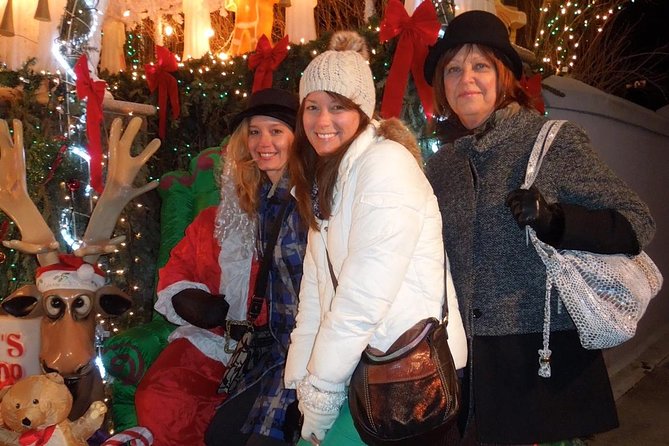 Dyker Heights Christmas Lights Tour - Who This Tour Suits (and Who Might Prefer DIY)