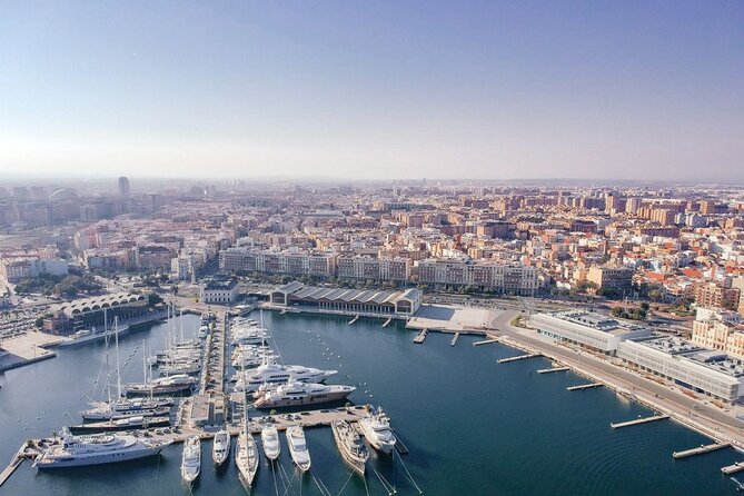 Elche and Santa Pola Half Day Guided Tour - From Alicante to Elche: a short ride with a big contrast