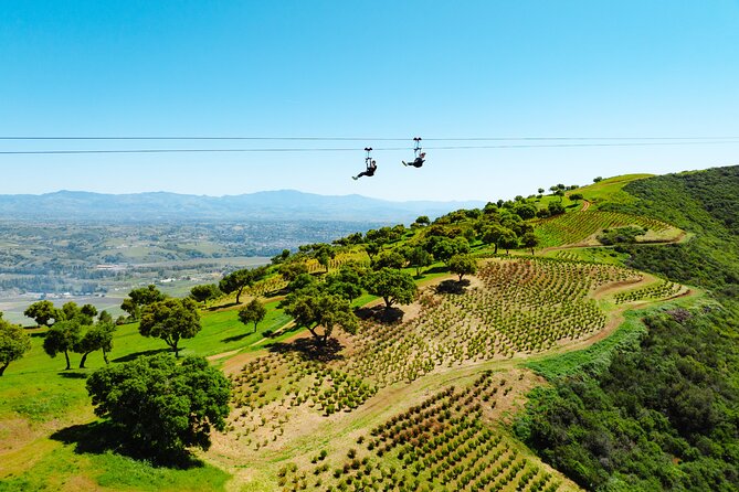 Epic Zipline Tour near Santa Barbara - Key Things That Make This Zipline Tour Worth Your Time